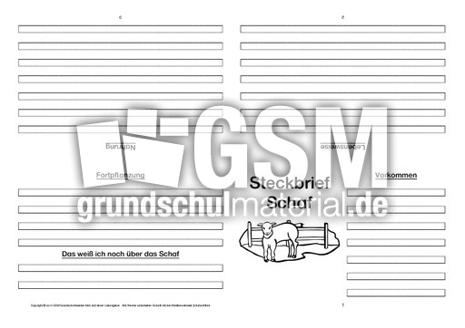 Schaf-Faltbuch-vierseitig-3.pdf